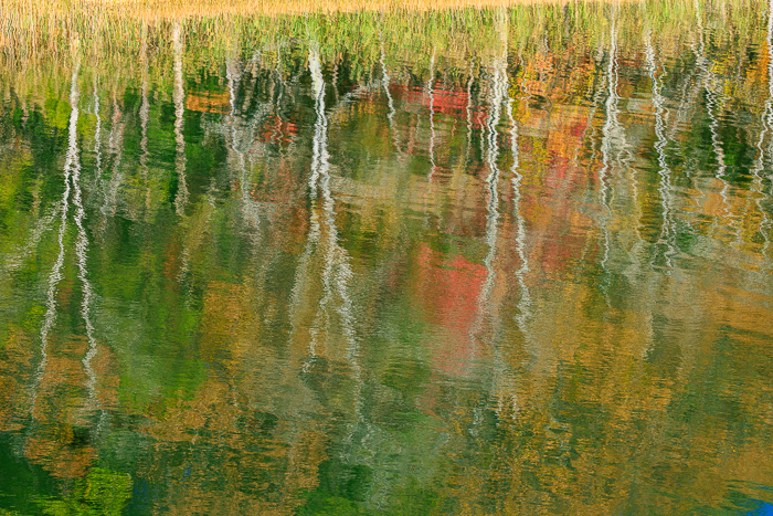 Abstract;Abstraction;Autumn;Biophilic;Branches;Brown;Calm;Concepts;Cool Colors;Cool Palette;Cool Tones;Fall;Fall Creek Falls State Resort Park;Forest;Gold;Green;Greens;Healing;Health care;Healthcare;Leaves;Line;Mirror;Modern;Nature;Oneness;Ripple;Shape;State Park;Sunlight;Sunshine;Tan;Tennessee;Tree;United States;Water;Waterscape;Wood;Woodland;Woods;Yellow;biophilic design;biophilic interior design;color;contemporary;contemporary art;foliage;lake;limbs;modern art;pattern;peaceful;plants;reflection;reflections;restful;serene;soothing;sunlit;texture;tranquil;tree;tree limbs;trees;zen